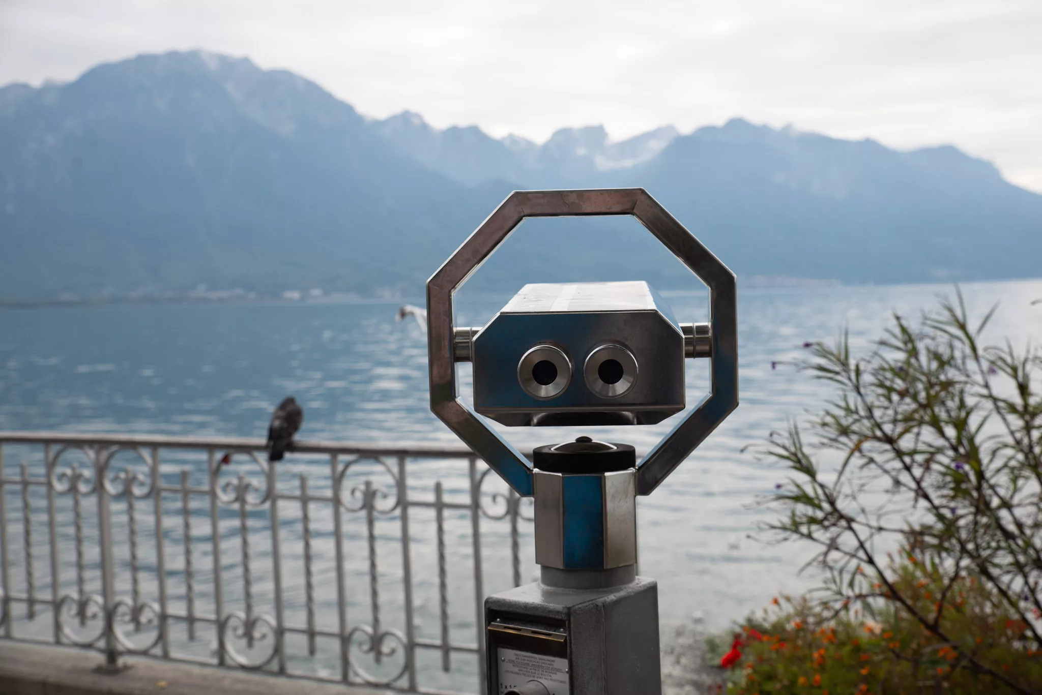 DSC_8147_SocialMedia_Export