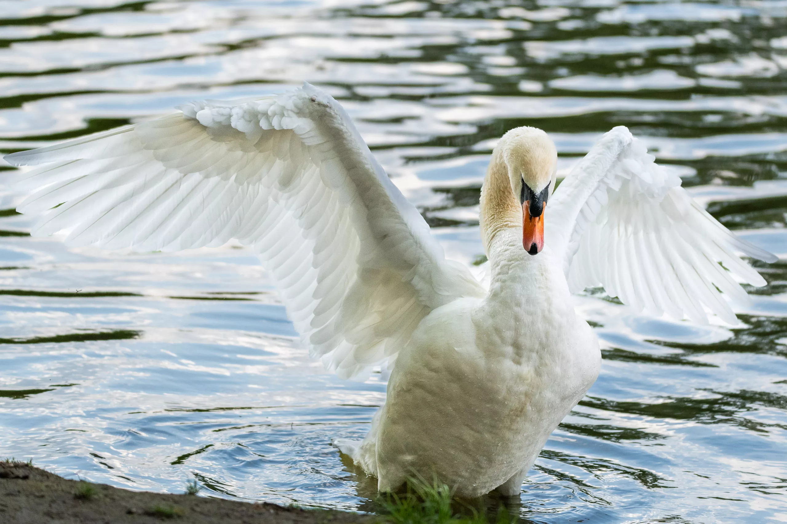 DSC_6264_SocialMedia_Export