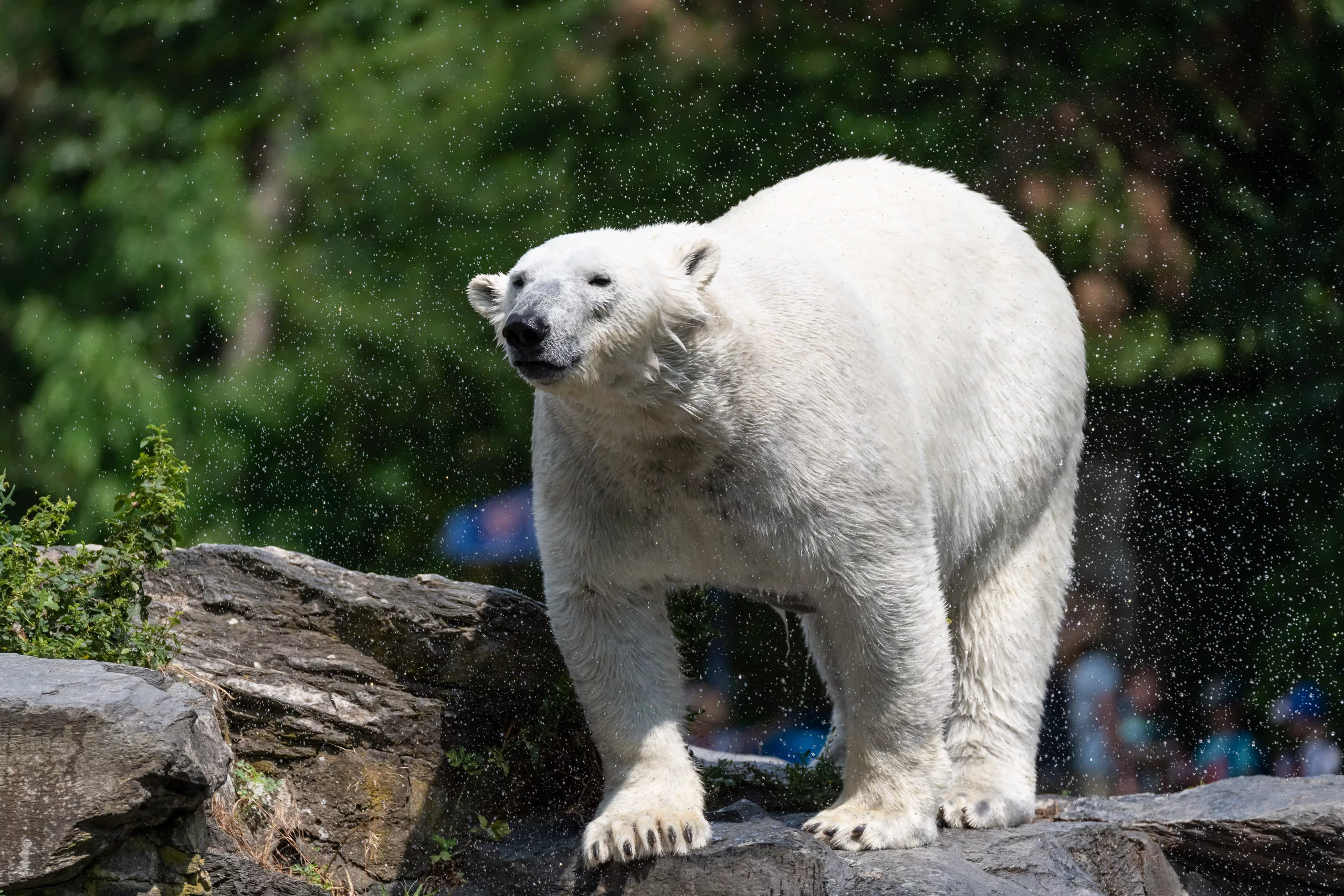 DSC_6533_SocialMedia_Export