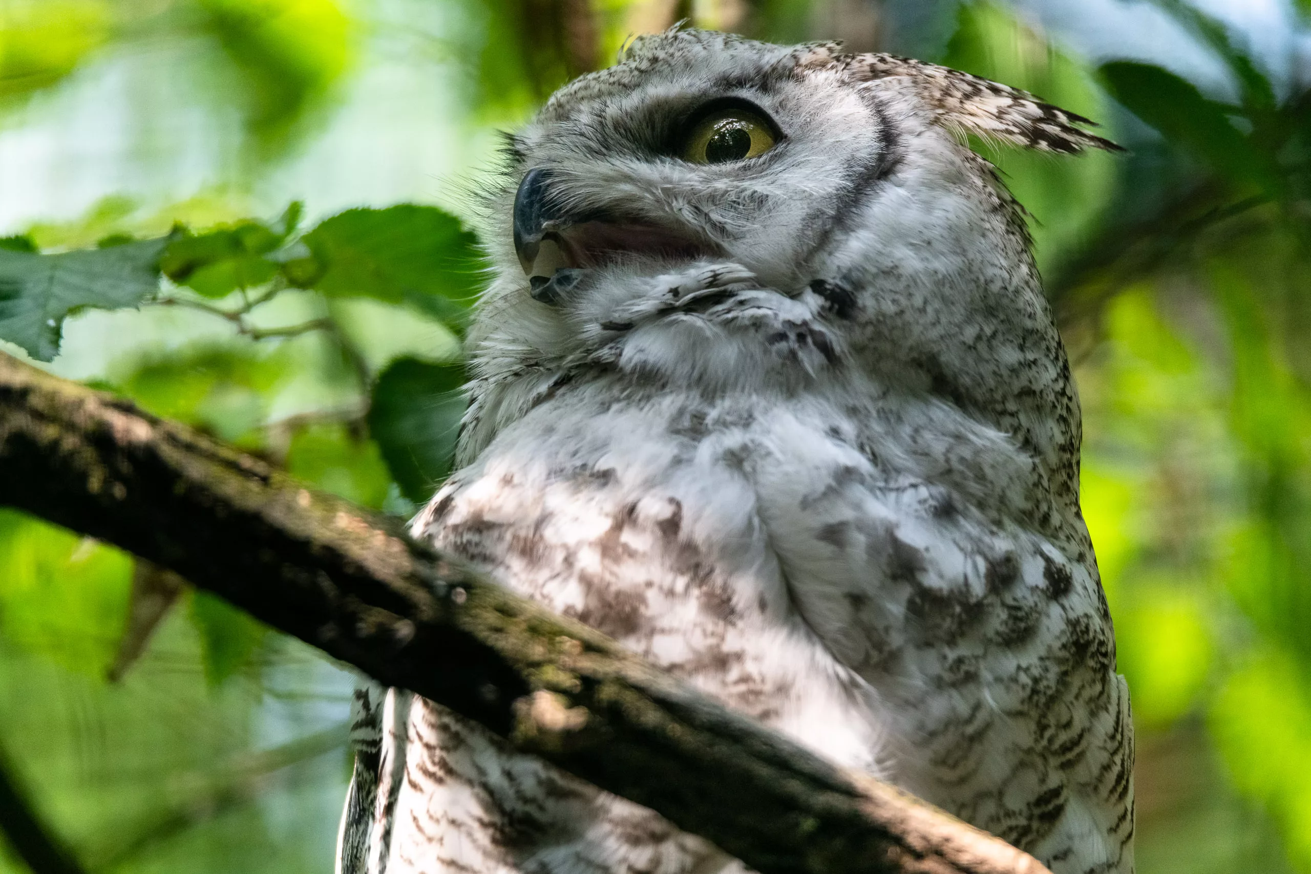 DSC_6572_SocialMedia_Export